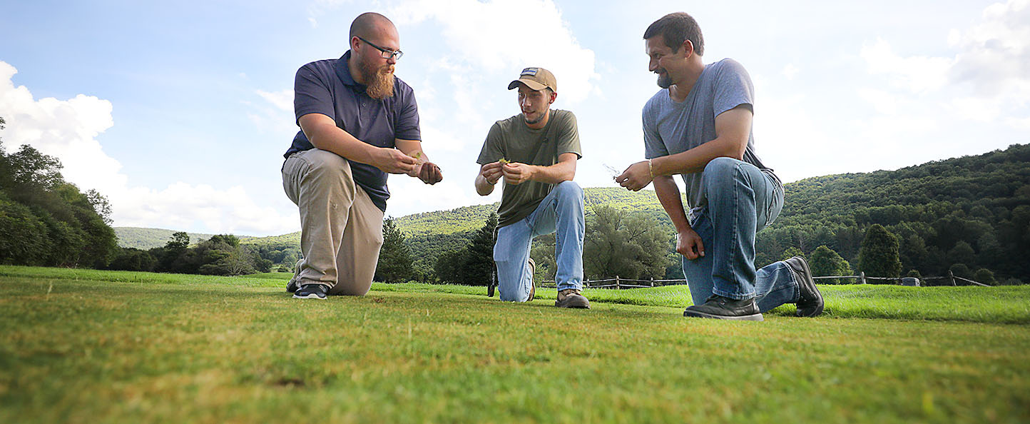 Professor and two students examining golf course turf.