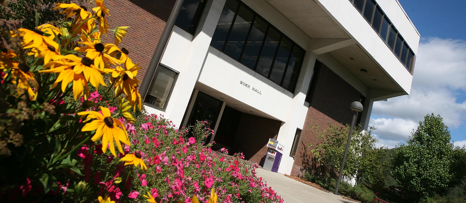 Flower in foreground with education building in background