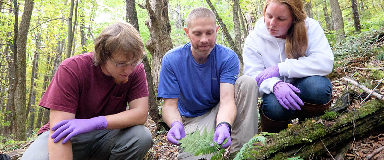 Environmental Studies