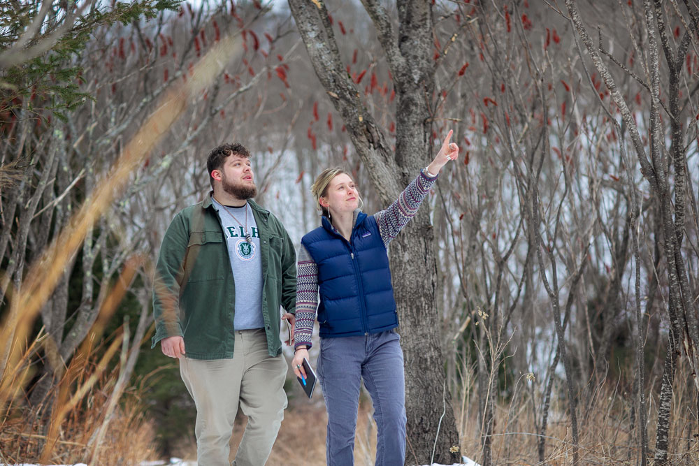 students in the woods