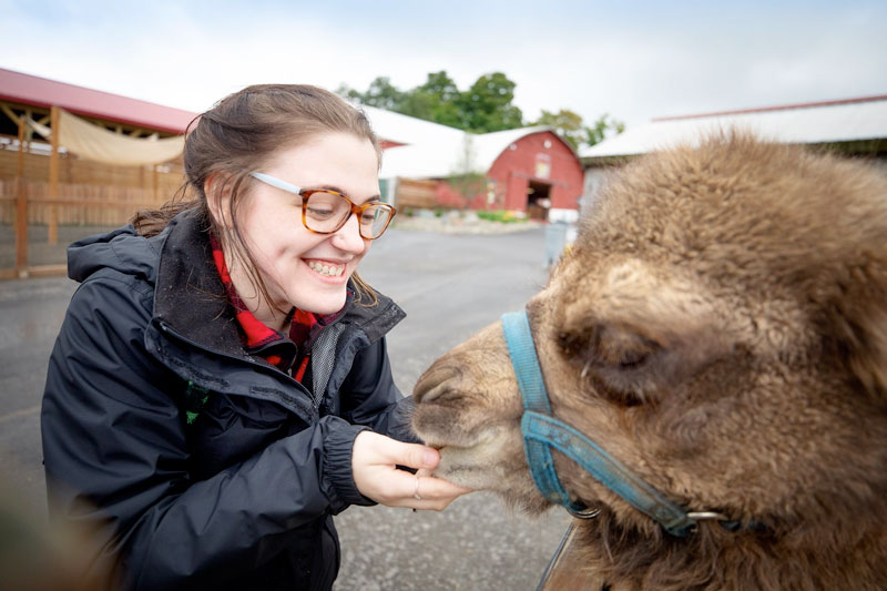 Student feeding large animal