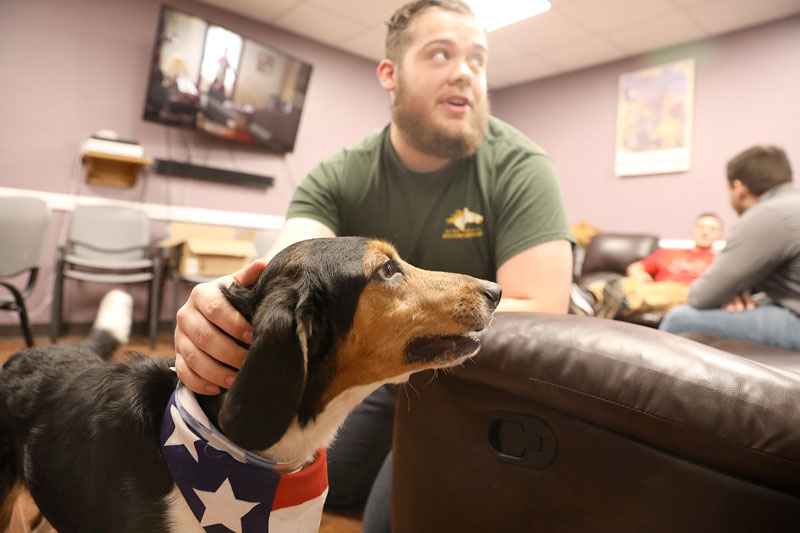 Pets for Vets - Student with dog wearing flag neck scarf