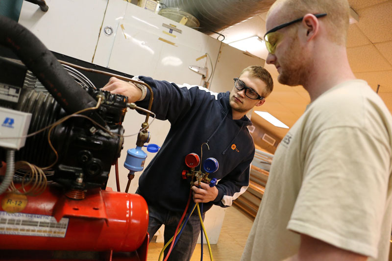 Students working in lab