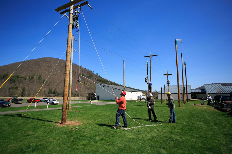 Students working on utility poles