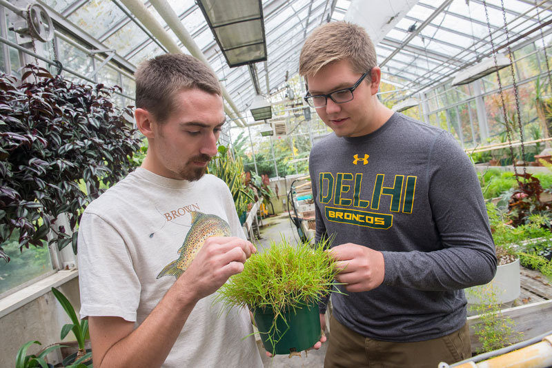 Students inspecting plant in greenhouse
