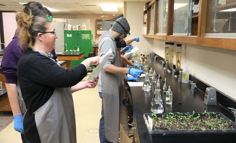 Students working in lab