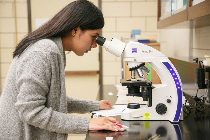 Student looking through microscope