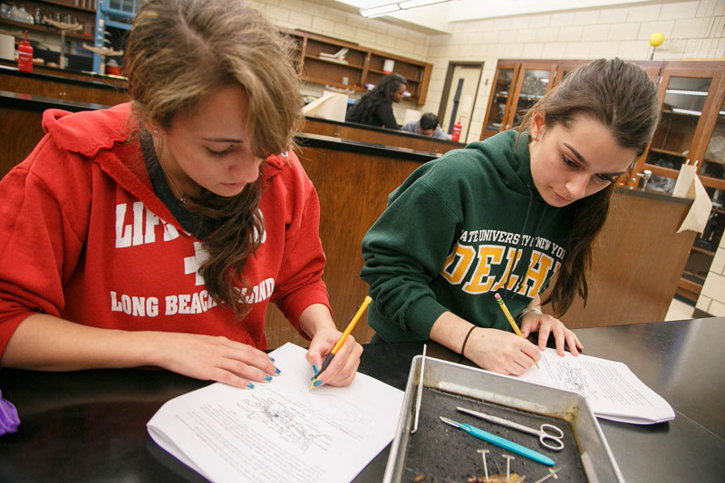 Students working in classroom