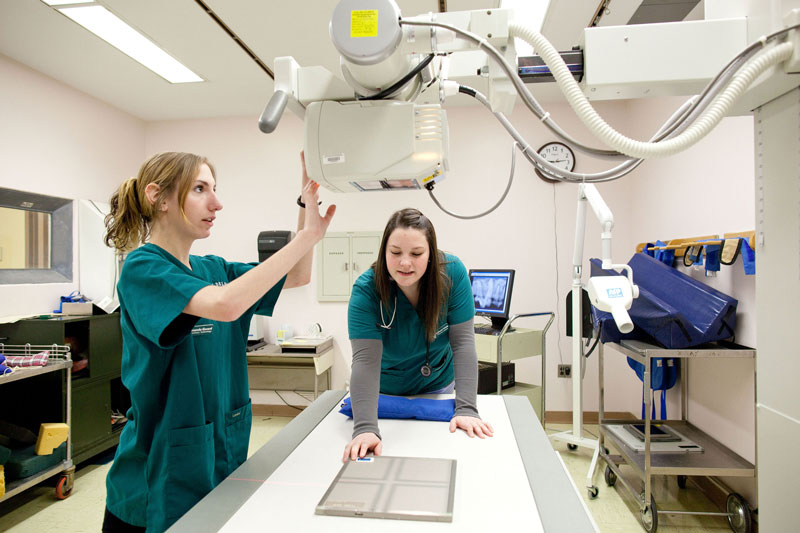 Students working in lab