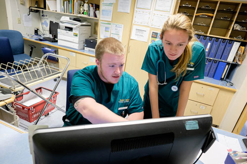 Nursing students looking at computer