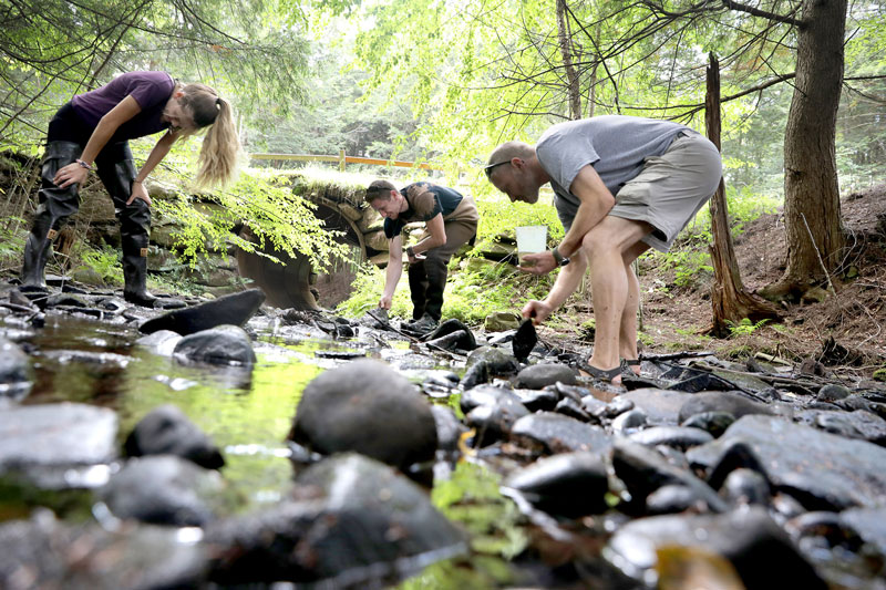 Students and faculty taking samples from stream