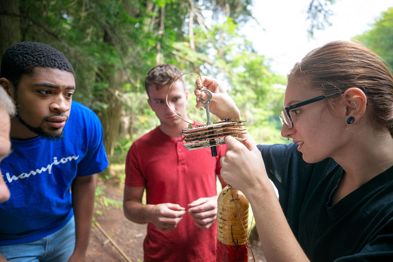 Students looking at samples outdoors