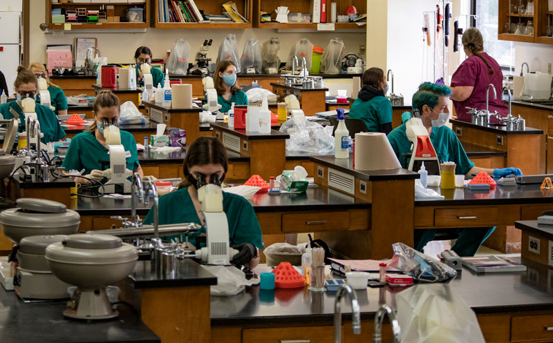 Students looking through microscopes in lab