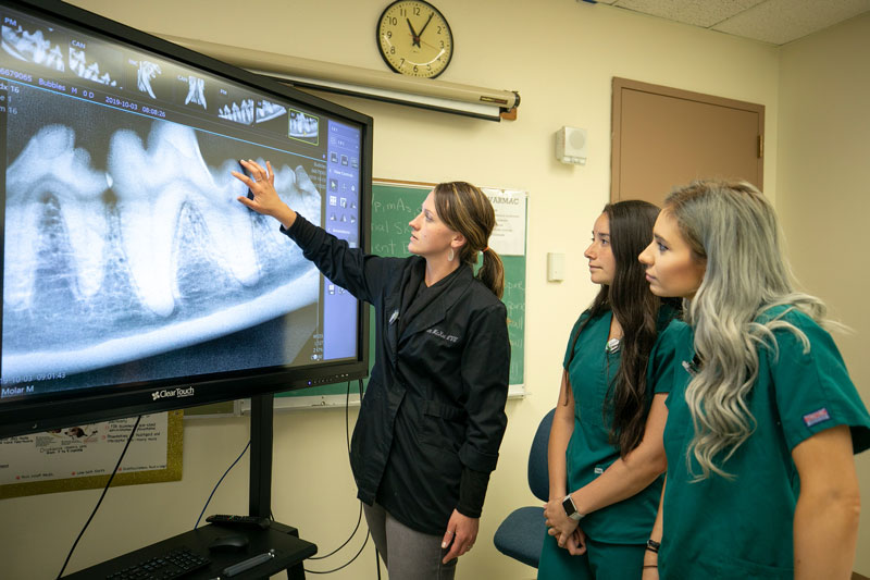 Faculty and students studying X-ray