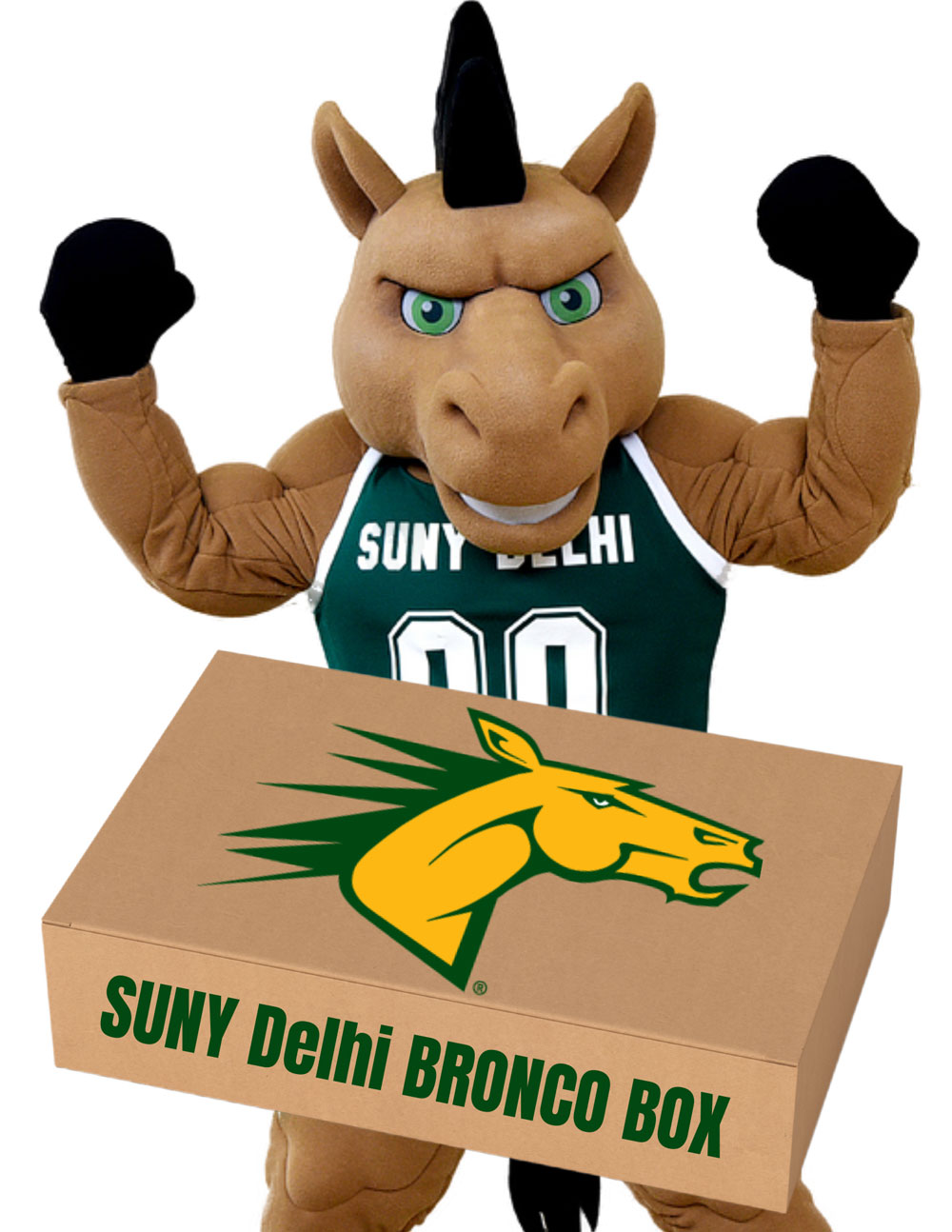 Bronco Mascot Holding a box