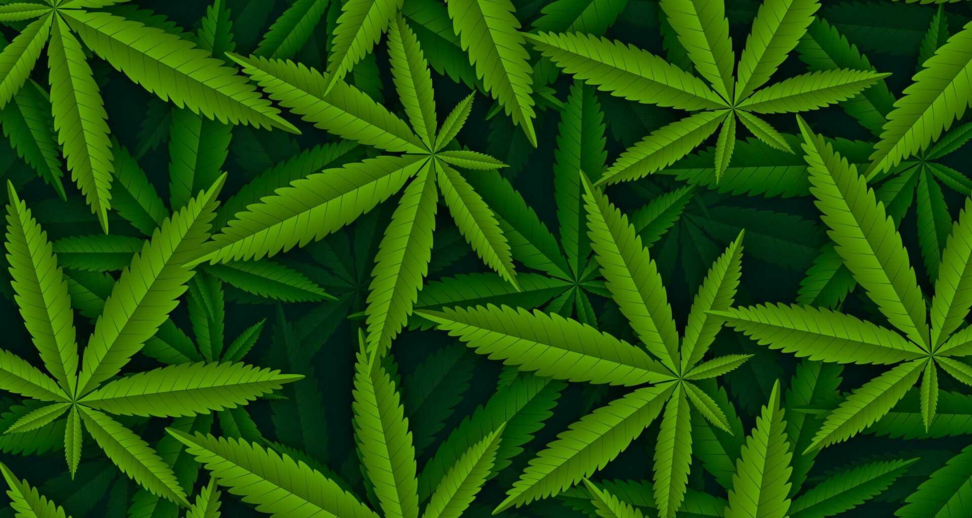 Marijuana background