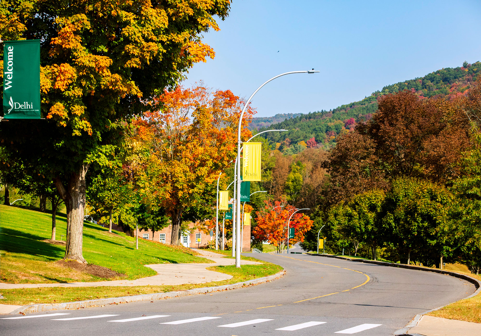 Campus road with trees and mountains in fall colors