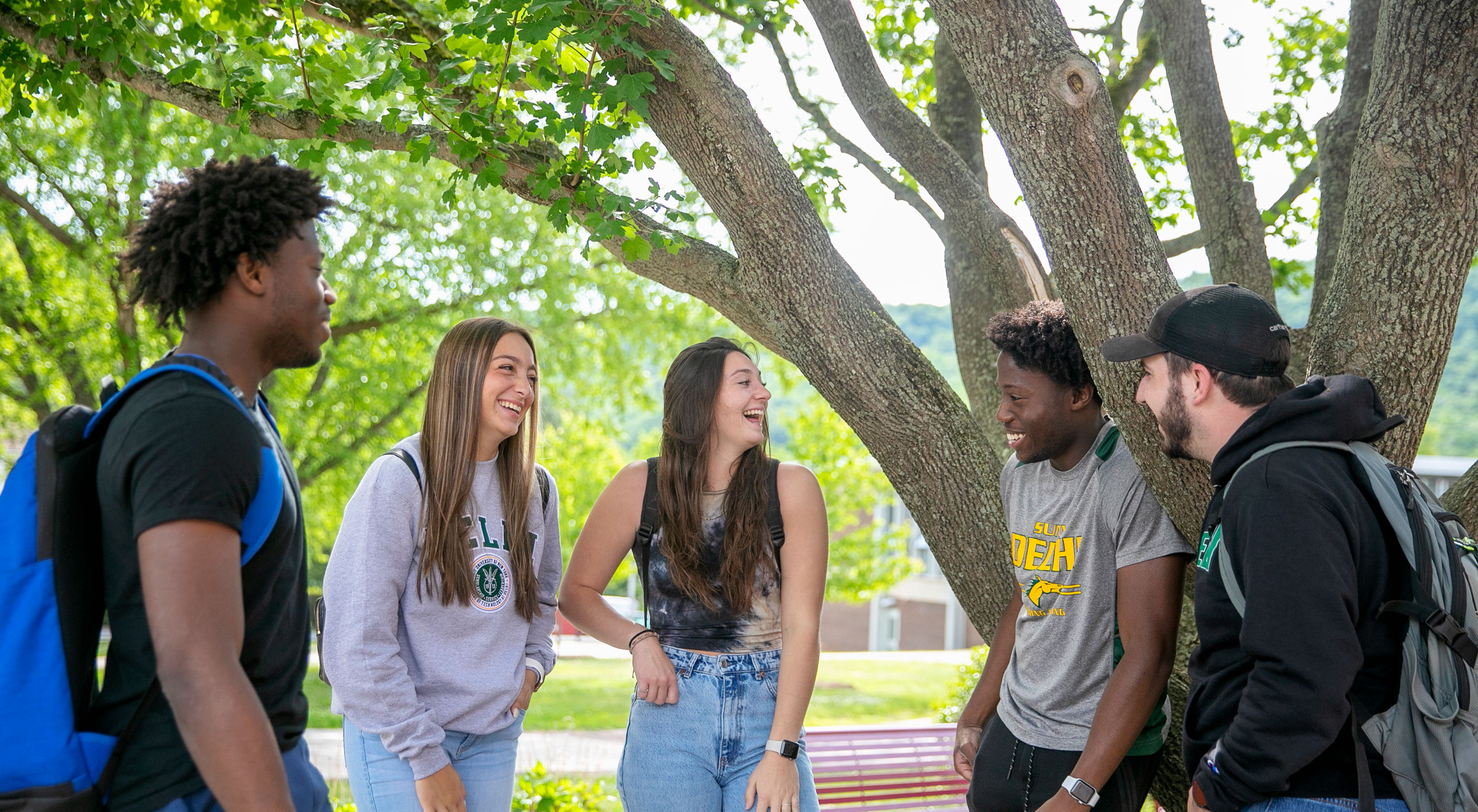 Students finding a tree funny