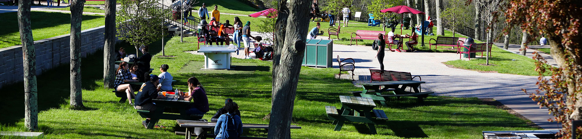 SUNY Delhi Campus lawn with picnic tables