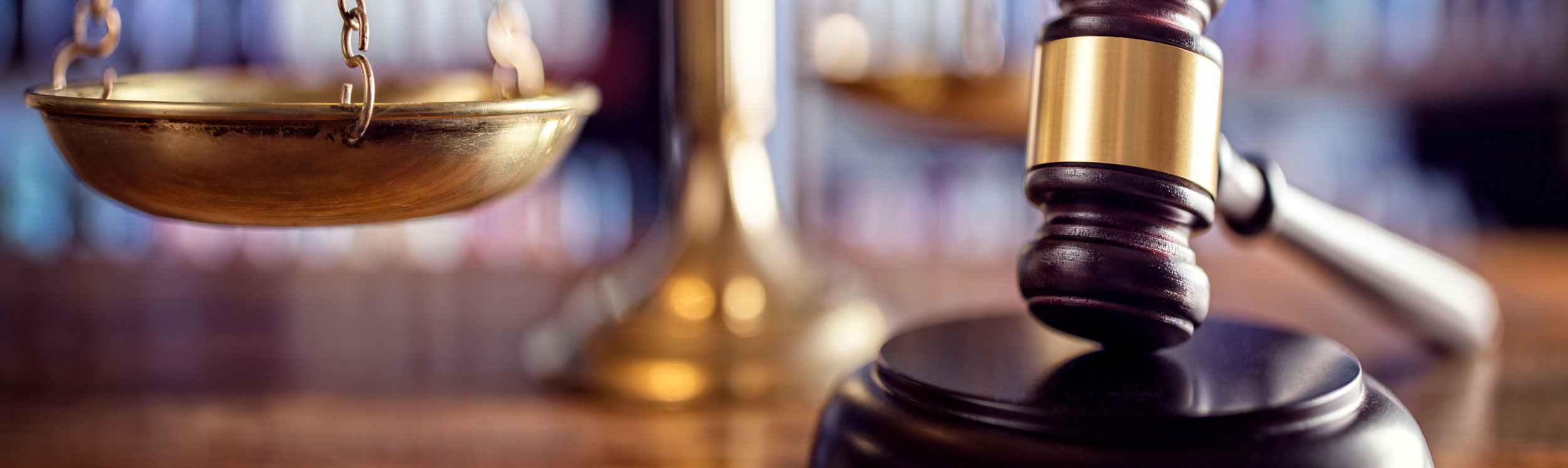 Criminal Justice (Online MS) Course List