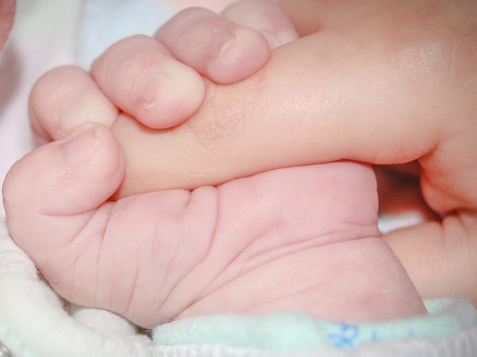 Baby holding parent's hand