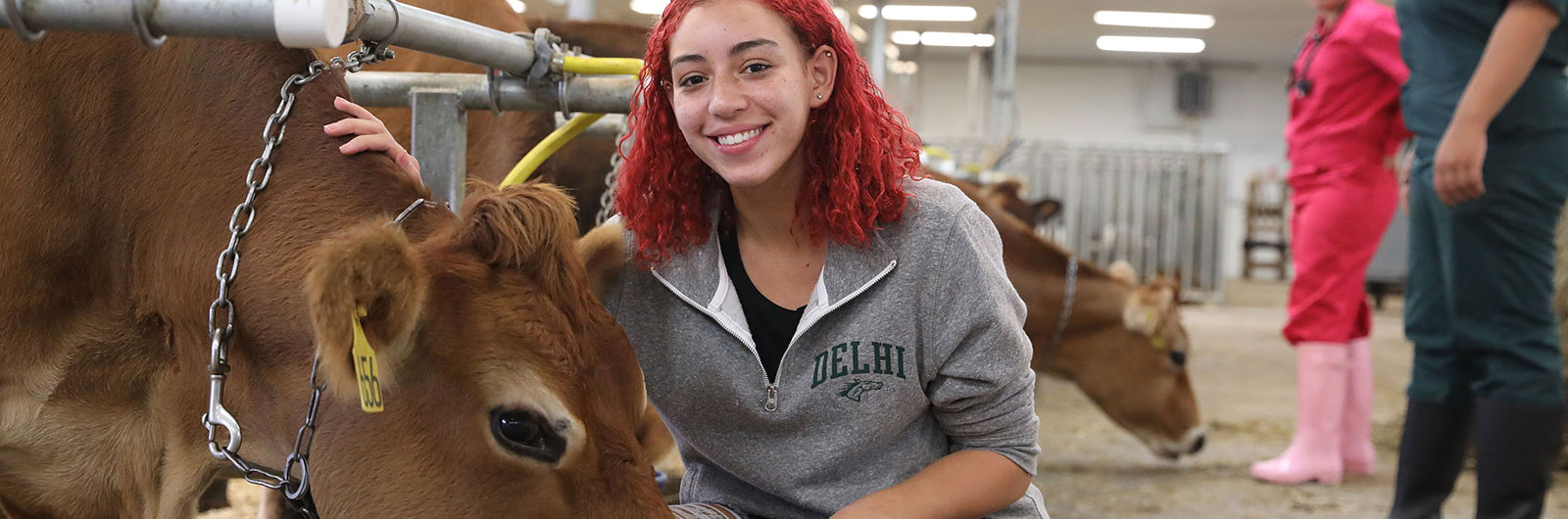 Student with milk cow